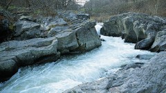Stones nature Trees water land rivers