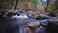 Stones nature Trees water rocks streams rivers forests brook