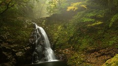 Stones nature Trees waterfalls rocks forests