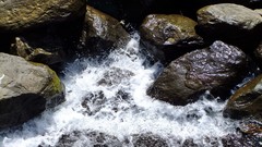 Stones nature water rocks streams