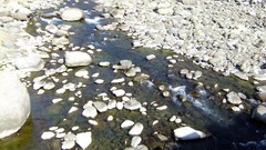 Stones nature water rocks streams