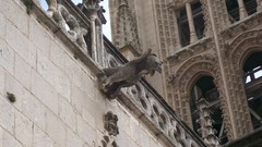 Stones old ancient sculptures Gargoyles