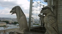 Stones old ancient sculptures Gargoyles