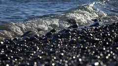 Stones pebbles Beaches waves bokeh