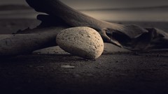 Stones sepia