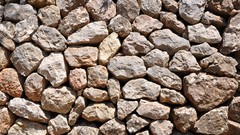 Stones Textures fossil