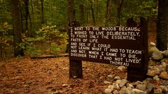 Stones Trees signs woods poetry Quotes Henry David Thoreau