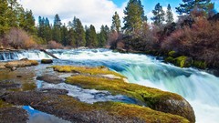 Stones water autumn moss Wood rocks falls bushes