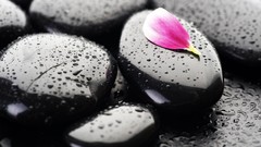 Stones Zen macro