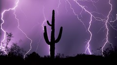 Storm Arizona tucson deserts