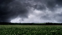 Storm fields