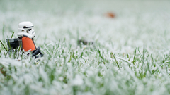 Stormtroopers grass clone trooper