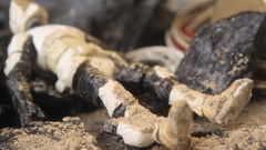 Story MG can someone