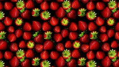 Strawberries