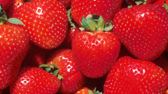 Strawberries