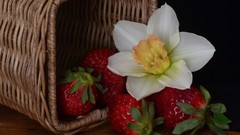 Strawberries baskets