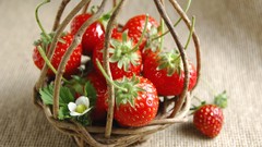 Strawberries fruits