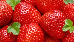 Strawberries fruits