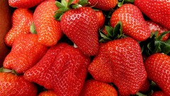 Strawberries fruits