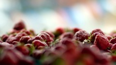 Strawberries fruits depth of field