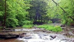 Stream bach nature state