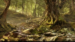 Stream woods peaceful moss