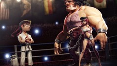 Street fighter funny Flags