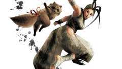 Street fighter iv Ibuki