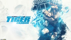 Street fighter sagat