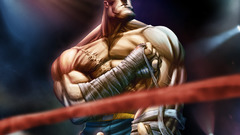 Street fighter sagat