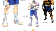 Street fighter sagat street