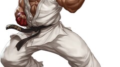 street fighter warrior ryu video games white background