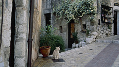 Street in eze France