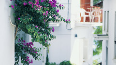 Street in skiathos Greece