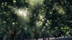 Streets forests Anime