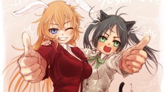 Strike witches animal ears