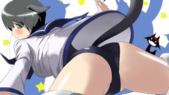 Strike witches animal ears