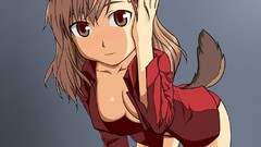 Strike witches animal ears