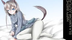Strike witches animal ears