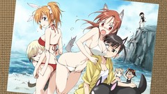 Strike witches animal ears