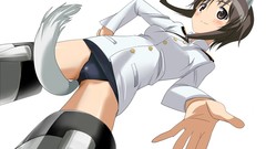 Strike witches animal ears