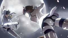 Strike witches animal ears