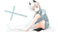 Strike witches animal ears