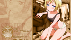 Strike witches erica hartmann