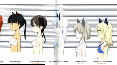 Strike witches nekomimi animal