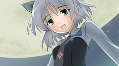 Strike witches nekomimi animal