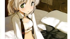 Strike witches nekomimi animal