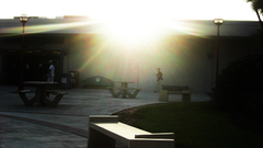 String You can Got its cimg carry