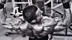 Strong models bodybuilding