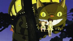 studio ghibli My Neighbor Totoro Anime